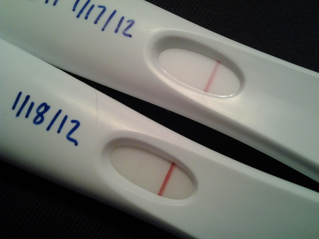 Pregnancy Test, 20 Tests